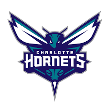 CHARLOTTE HORNETS Team Logo